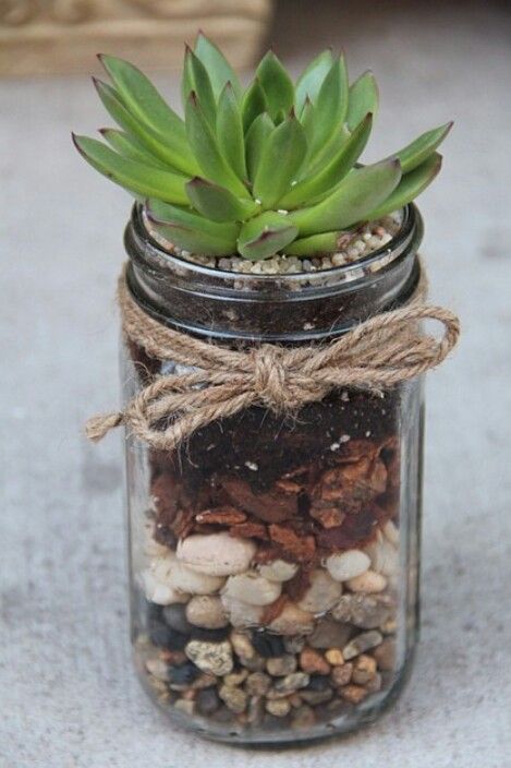 Succulent Idea Terrariums Diy, Kaktus Dan Sukulen, Plant In Glass, Recycled Jars, نباتات منزلية, Succulents Decor, Decoration Garden, Mason Jar Crafts Diy, Terrarium Diy