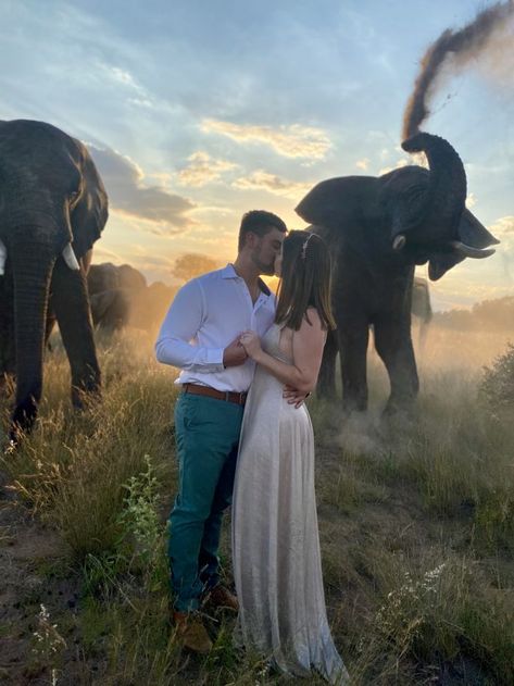 Image 7 of Jeanette and Christopher Elephant Proposal, Safari Proposal, Dream Proposal, Proposal Videos, Proposal Pictures, Safari Wedding, Best Wedding Proposals, Surprise Engagement, Inspirational Life Photos