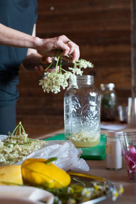 Elderflower Cordial | Herbal Drinks & Recipes | Botanical Kitchen Herbal Cordial Recipes, Elderflower Cordial Recipe, Herbal Cordial, Cordial Recipes, Healthy Alcohol, Cordial Recipe, High Antioxidant Foods, Botanical Kitchen, Elderflower Cordial