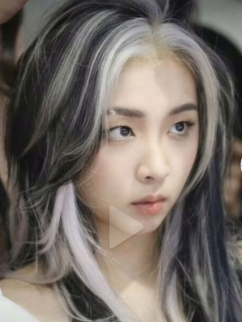 Long Grey Hair, Skunk Hair, Color Streaks, Hair Color Underneath, Color Aesthetic, Hair Color Streaks, Hair Streaks, Pretty Hair Color, Penteado Cabelo Curto