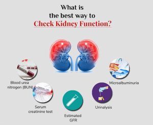 Physical properties of urine, Tests to evaluate kidney function & Normal constituents of urine Kidney Function Test, Urinary Bladder, Protein Metabolism, Pathology Lab, Acid Base Balance, Kidney Function, Lipid Profile, Kidney Health, Physical Properties