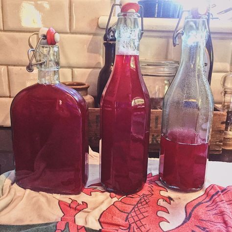 Plum Alcohol Recipes, Homemade Cordial Recipes, Plum Drink Recipe, Plum Juice Recipes, Diy Cordial, Making Cordials, Plum Cordial Recipe, Making Liquor, Homemade Cordial