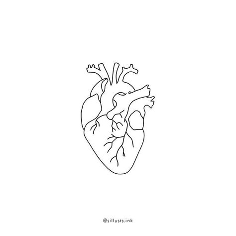 Realistic Heart Line Art, Anatomical Heart Line Drawing, Heart Fineline Tattoo, Minimalist Flash Tattoo, Flash Tattoo Heart, Minimalist Tattoo Heart, Heart Tattoo Black And White, Heart Tattoo Fine Line, Fineline Heart Tattoo