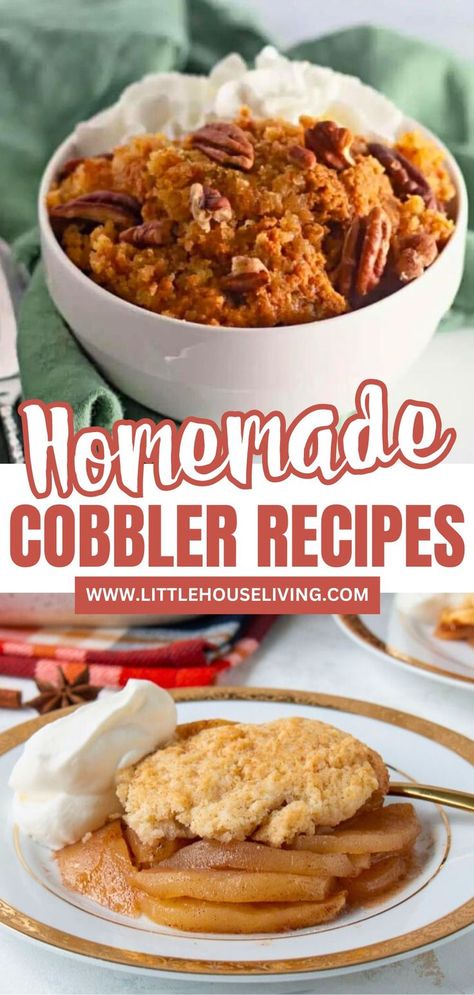 Find the perfect homemade cobbler ideas with this post featuring a range of scrumptious recipes. Whether you prefer classic fruit combinations or unique flavors, these recipes offer something for everyone. Learn how to make cobblers from scratch with tips on choosing the best fruits and achieving a golden, crispy topping. Great for those who want to bake a comforting dessert with a personal touch. How To Make Cobbler, Apricot Cobbler Recipes, Homemade Cobbler, Strawberry Cobbler Recipes, Fresh Blueberry Recipes, Turtle Cheesecake Recipes, Homemade Peach Cobbler, Blueberry Cobbler Recipes, Pumpkin Cobbler