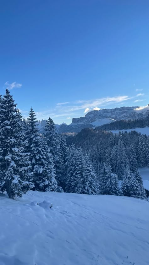 Italy Skiing, Ski Italy, Skiing Aesthetic, Ski Aesthetic, Ski Culture, Winter Mountains, Dolomites Italy, Colorado Winter, Snow Trip