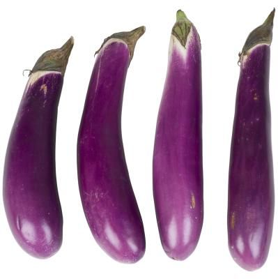 How To Cook Purple Chinese Eggplant | LIVESTRONG.COM Chinese Eggplant Recipes, Chinese Coleslaw, Chinese Eggplant, Chinese Vegetables, Eggplant Dishes, Baked Eggplant, Summer Recipes Dinner, Eggplant Recipes, Mixed Vegetables