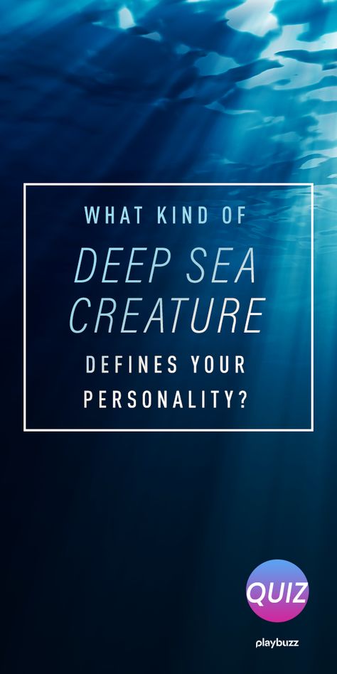 The dark, deep ocean. What kind of deep sea creature are you? This personality quiz will find out. Ocean Personality, Dark Deep Ocean, Deep Sea Creature, Fun Personality Quizzes, Discussion Prompts, Learning Web, Playbuzz Quiz, Princess Moana, Fun Test