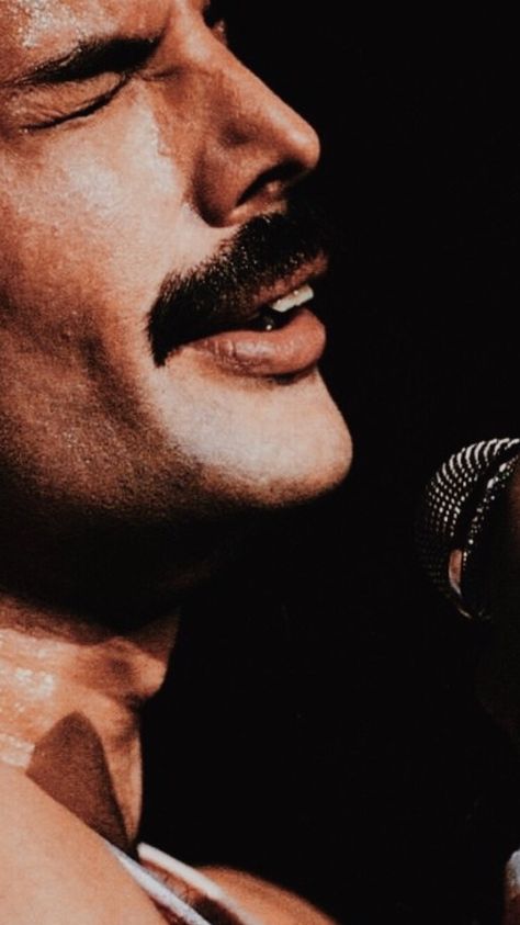 //Freddie Mercury// 🥀Like or reblog if you save🥀 Lynn Goldsmith, Queens Wallpaper, Freddy Mercury, Queen Aesthetic, Queen Photos, Queen Freddie Mercury, Queen Band, Killer Queen, Band Photos