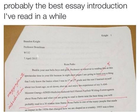 . 9gag Funny, Funny Af, Good Essay, School Memes, Laugh Out Loud, Memes Humor, Little Mix, What’s Going On, Tumblr Funny