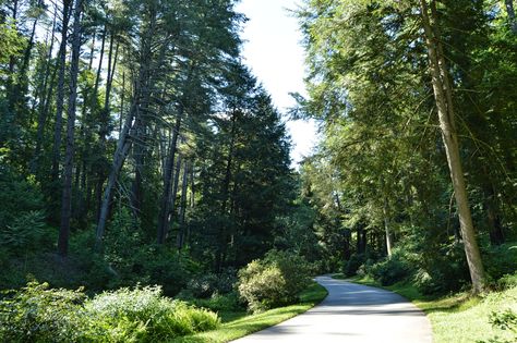 Loft Inspiration, Jogging Track, Long Driveways, Biltmore Estate, Home N Decor, Asheville, Driveway, Garden Ideas, Interior And Exterior