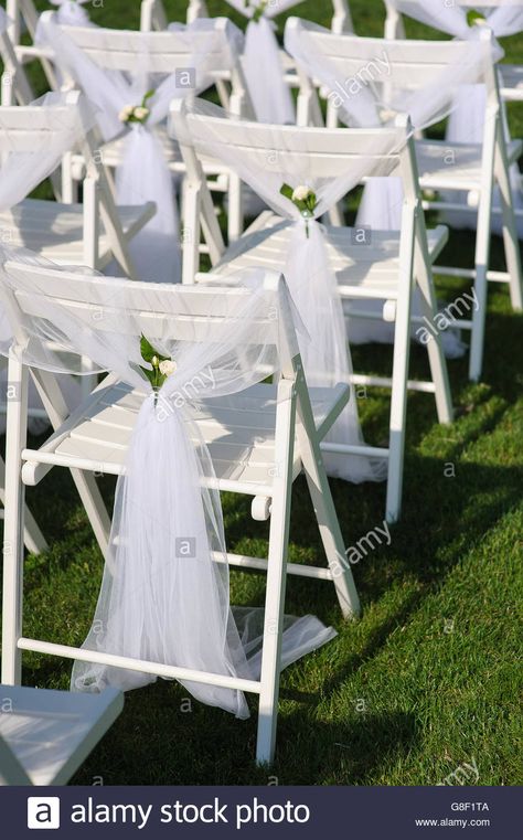 Download this stock image: White decorated chairs on a green lawn. Chairs set in rows for the wedding ceremony. They are decorated for the festive event. - G8F1TA from Alamy's library of millions of high resolution stock photos, illustrations and vectors. Decorated Chairs, Wedding Chair Decorations, Lawn Chairs, White Chair, Green Lawn, Chair Decorations, Wedding Chairs, Chair Set, Wedding Ceremony