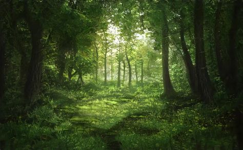 Forest Images Hd, Beautiful Forest Background, Forest Aesthetic Laptop Wallpaper, Pretty Green Forest, Environment Pictures Nature, Green Environment Photography, Forest Images Landscapes, Landscape Forest Photography, Nature Background Images Landscape