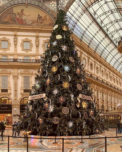 Christmas Italy, Italy Winter, Christmas In Italy, Italy Map, Europe Map, 2024 Christmas, Christmas Wonderland, Dec 25, Disney World Vacation