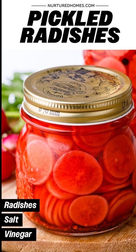 You'll be obsessed with this pickled radish recipe if you love making tacos! Pickle Radishes, Radish Recipe, Quick Pickled Radishes, Pickled Radish, Homestead Recipes, Pickled Shallots, Quick Pickled, Watermelon Radish, Radish Recipes