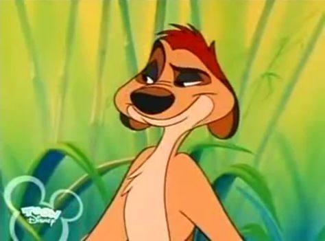 Timon in The Lion King's Timon and Pumbaa Lion King 1 1/2, Lion King Ii, Lion King Timon, Lion King 1, The Lion King 1994, Timon And Pumbaa, Simba And Nala, Pride Rock, Disney Wiki