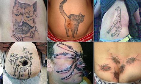 Hilarious photos show the worst animal tattoos Worst Tattoos Ever Hilarious, Worlds Worst Tattoos, Worst Tattoos Ever, Animal Tatoos, Worst Tattoos, Hilarious Photos, Bad Tattoos, Body Modifications, Animal Tattoos