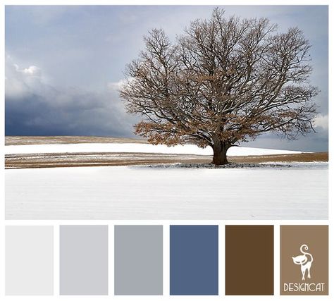 Winter Tree: Ice, Blue, Sky, Slate, Grey, Brown, Sand - Colour Inspiration Pallet: Sand Bathroom, Brown And Blue Living Room, Bathroom Colour, Brown Living Room Decor, Winter Palette, Brown Sand, Pallet House, Brown Color Schemes, Brown Color Palette