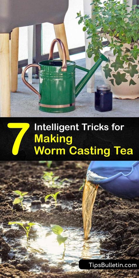 Vermisterra earthworm casting tea, also known as worm casting tea or worm compost tea, is made from a by-product of a worm bin or worm farm. Worm casting tea is easy to make and is a powerful liquid fertilizer for vegetable plants, flowers, lawns, and more. #homemade #worm #casting #tea Tea Fertilizer, Homemade Plant Fertilizer, Worm Tea, Worm Castings Tea, Garden Planing, Diy Fertilizer, Worm Farming, Plant Fertilizer, Meal Worms