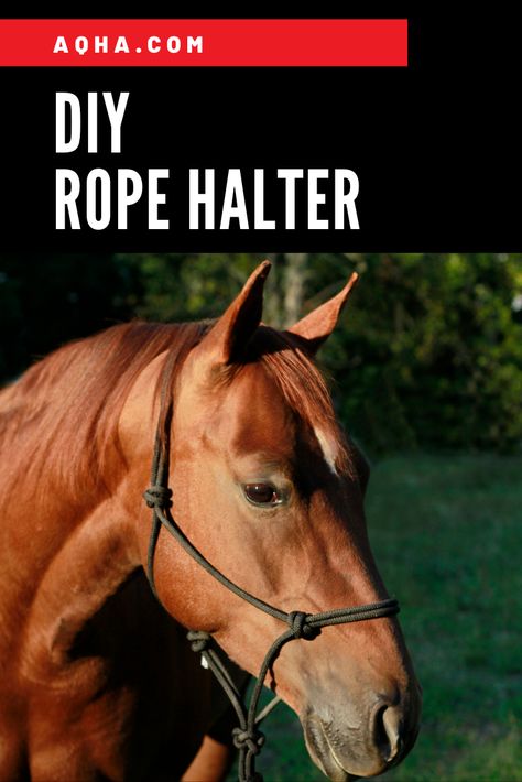 How To Make A Rope Halter Step By Step, How To Make A Horse Halter, Diy Rope Halters For Horses, How To Make A Rope Halter, Diy Rope Halter, Diy Horse Halter, Rope Halters For Horses, Paracord Halter, Halter For Horses