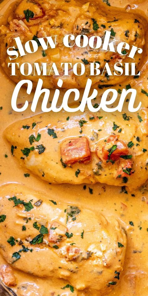 Frozen Chicken Breast Crockpot, Frozen Chicken Crockpot Recipes, Tomato Basil Chicken Recipe, Chicken Basil Recipes, Frozen Chicken Crockpot, Chicken Breast Recipes Slow Cooker, Chicken Breast Slow Cooker, Chicken Boneless Breast Recipes, Tomato Basil Chicken