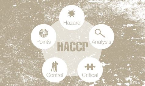 What does HACCP Food Safety Plan Mean Food Safety And Hygiene Posters, Haccp Plan Food Safety, Food Safety Posters, Cleaning Cars, Raw Feeding For Dogs, Food Safety And Sanitation, Safety Plan, Food Hygiene, Food Safety Tips