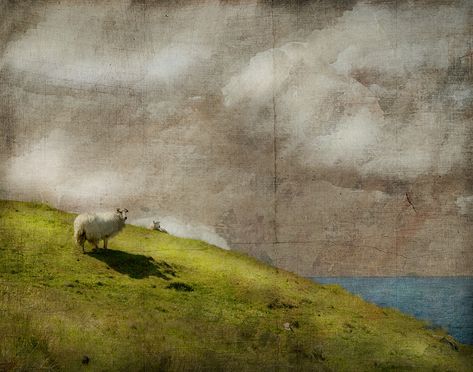 Do you see what I see? | I'm pretty sure this is where the w… | Flickr Jaime Heiden, Jamie Heiden, Cloud Study, Happy Sheep, Pacific Northwest Art, A Sheep, Encaustic Art, Encaustic Painting, Drawing Artwork