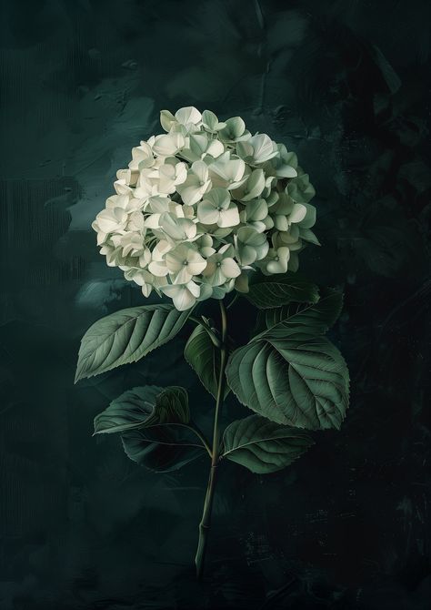 Dark Green Cottagecore Aesthetic, Dark Botanical Aesthetic, Green Cottagecore Aesthetic, Botanical Gothic, Gothic Botanical, Dark Oil Painting, Dark Cottagecore Art, Hydrangea Wall, Hydrangea Wall Art