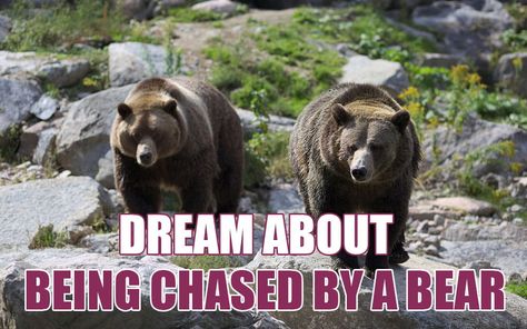 Dreams are a reflection of your desires and thoughts. They could also be the metaphor for what is about to occur in life. After that, you can receive some vital ... Read more The post What Does It Mean When You Dream About Being Chased By A Bear? appeared first on Sign Meaning. Angry Animals, Angry Bear, Dream Meaning, Being Chased, Spiritual Animal, Bear Signs, Sign Meaning, Dream Meanings, Dream Interpretation