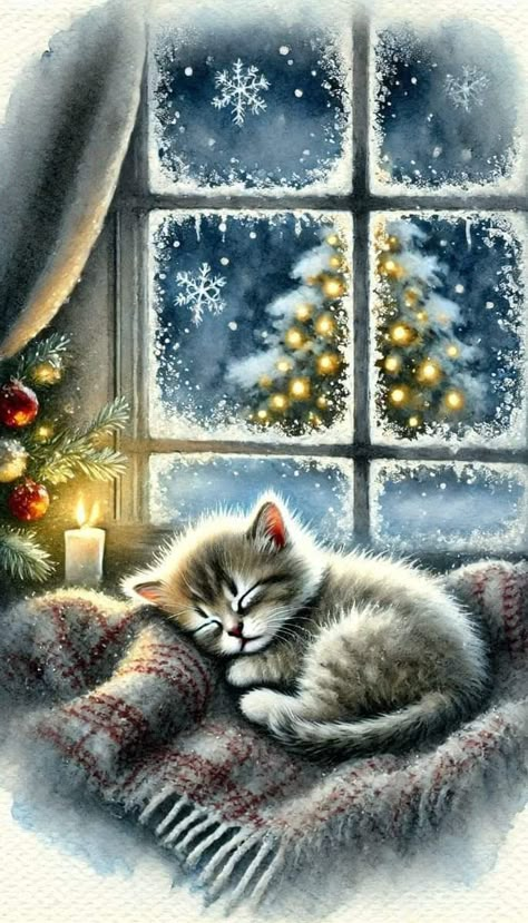 Christmas Kittens Cute, Cat Christmas Pictures, Xmas Scenes, Cats At Christmas, Xmas Cat, Christmas Kitties, Winter Christmas Scenes, Beautiful Winter Scenes, Sleeping Kitten