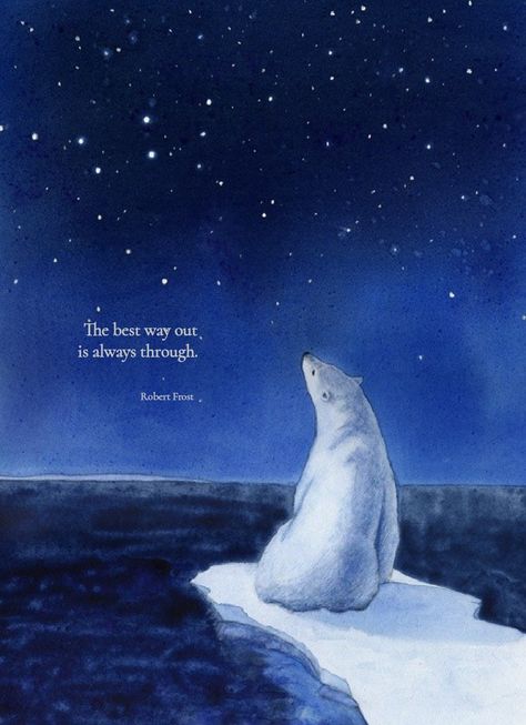 Polar Bear Quotes, Bear Quotes, Save Polar Bear, Polar Bear Dream Meaning, Polar Bear Spirit Animal, Bear Spirit Animal, Northern Lights And Polar Bears, Polar Bear On Ice, Bear Quote