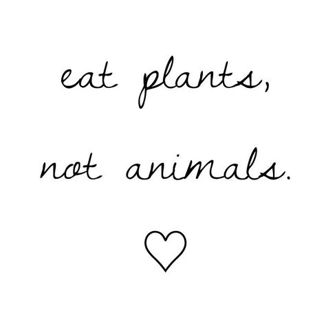 Non Vegetarian Quotes, Vegan Inspo Aesthetic, Vegetarian Aesthetic Quotes, Vegan Aesthetic Wallpaper, Vegetarian Wallpaper, Vegetarian Drawing, Veggie Quotes, Vegetarian Aesthetic, Vegan Quotes Funny