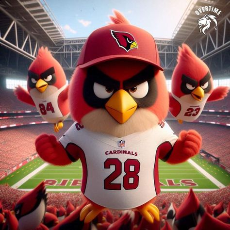 Az Cardinals, Cardinals Football, Nfl Arizona Cardinals, Phoenix Suns, Arizona Cardinals, Cardinals, Phoenix, Arizona, Nfl