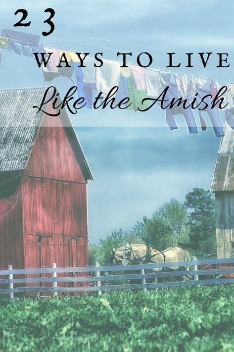 23 Ways To Live Like The Amish: One Ash Homestead Amish Lifestyle, Delivery Food, Homestead Farm, Homesteading Skills, Homestead Living, Living Off The Land, Simpler Lifestyle, Homestead Survival, Amish Country