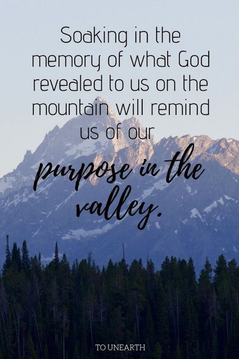 In The Valley Quotes God, Mountain Top Quotes, Evangelism Quotes, Sound Doctrine, God Reveals, Experience Quotes, Awesome God, Encouraging Bible Verses, Quote Board