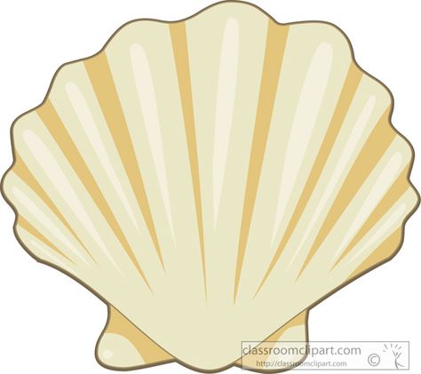 Shell Clipart, Seashell Clipart, Classroom Clipart, Sea Shells, Crochet Projects, Shells, Arts And Crafts, Clip Art, Art