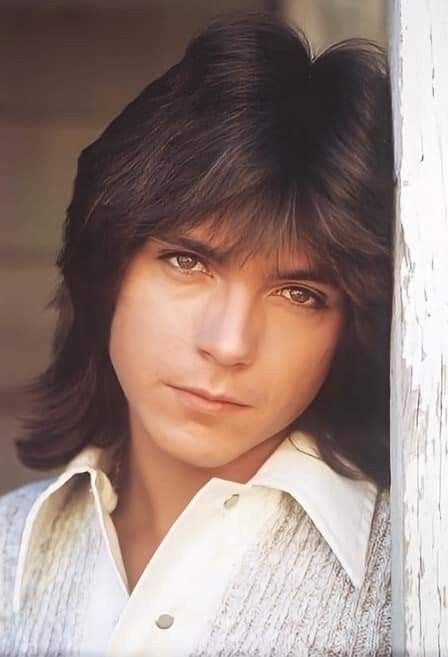 David Cassidy 1970s, 70s Actors, Sour Diesel, Shirley Jones, Gorgeous Man, The Osmonds, Donny Osmond, Childhood Memories 70s, Katie Cassidy