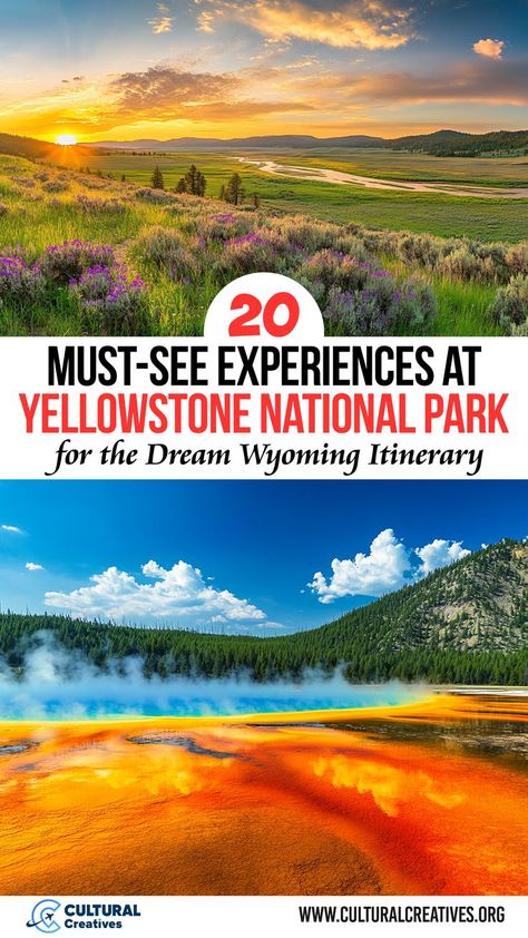 20 Must-See Experiences at Yellowstone National Park for the Dream Wyoming Itinerary showcasing a stunning sunrise over a wildflower-filled valley and the vibrant colors of the Grand Prismatic Spring. Yellowstone Must See, Things To Do In Yellowstone Park, Yellowstone National Park Aesthetic, Wyoming Itinerary, Yellowstone Wildlife, Yellowstone Vacation Planning, Trip To Yellowstone National Park, Things To Do In Yellowstone, Yellowstone Ranch