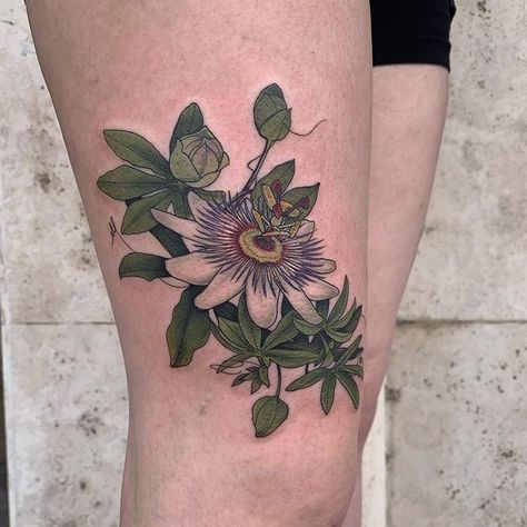 New one for @laurenmaiaos today. Passion flower on the opposite thigh. #pooka #ochoplacas #passionflower #passionflowertattoo #passiflora Passion Flower Tattoo, Dragon Fruit Flower, Purple Passion Flower, Passion Fruit Flower, Flower Vine Tattoos, Blue Passion Flower, Flor Tattoo, Flower Tattoo Meanings, Vine Tattoos