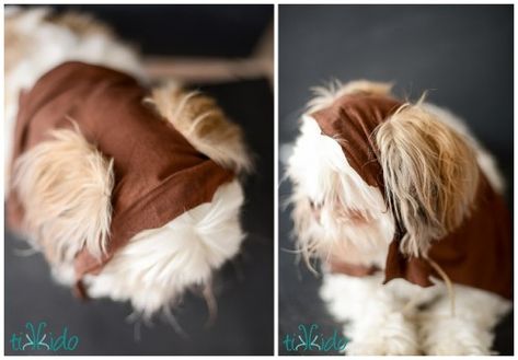 Fun DIY Ewok No Sew Dog Costume Diy Ewok Dog Costume, Ewok Dog Costume Diy, Ewok Costume Diy, Ewok Dog Costume, Dog Costumes For Kids, Ewok Costume, Star Wars Costumes Diy, Colonel Mustard, Star Wars Ewok