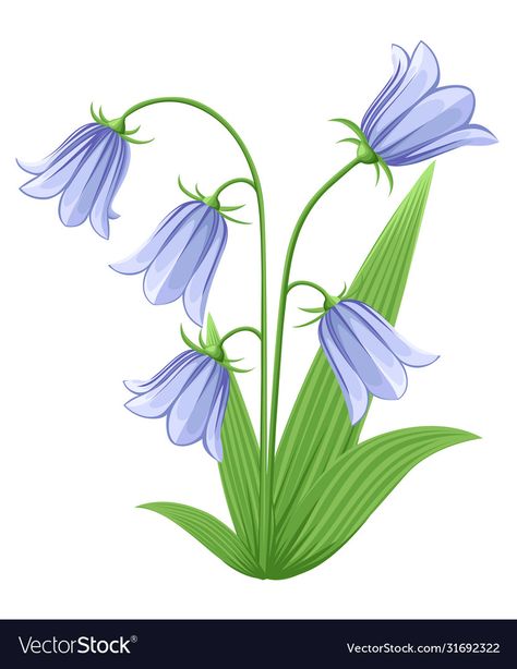 Easy Flower Drawings, Bell Flowers, Blue Bell Flowers, Flower Art Drawing, Flower Icons, Hand Drawn Vector Illustrations, Blue Bell, Hand Drawn Vector, Flower Doodles