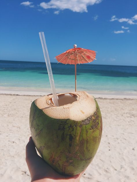 Barbados Beach, Delicious Food Image, Barbados Beaches, Coconut Drinks, Vacation Photography, Beach Chair Umbrella, Fruit Wallpaper, Summer Backgrounds, Cancun Mexico