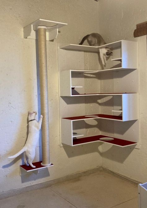 Cat Indoor Playground, Cats Playground, Cat Tower Tree, Cat Walls, Wall Ladders, Modern Cat Tower, Cat Rooms, Cat Enrichment, Things For Cats