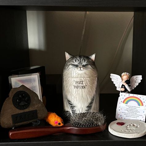 ❤️ Saying farewell to a pet is always hard, but a custom memorial can help ease the pain. 🐱🐶 Our hand-painted urns are designed to capture your pet’s unique character, offering a special place for their ashes and a lasting reminder of your bond. ❤️👼 #cat #dog Pet Decorations, Ear Designs, Cats Ragdoll, Cats Siamese, American Shorthair Cat, Pet Crafts, Pet Storage, Memory Jar, Cat Urns