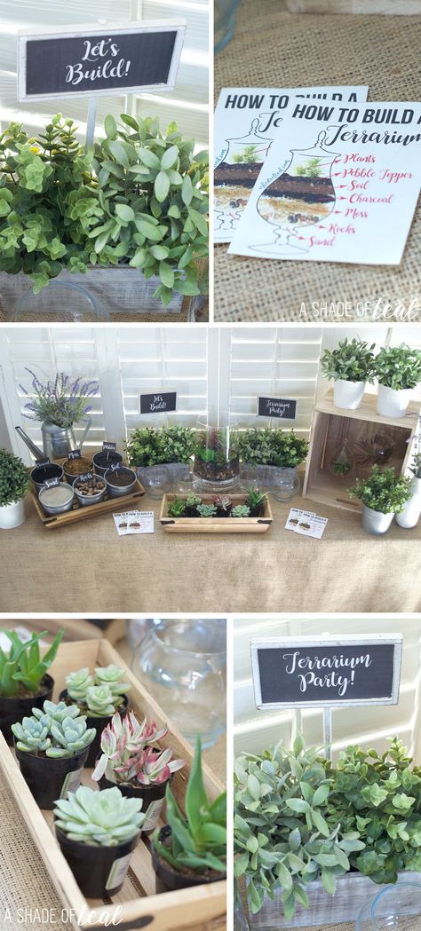 Terrarium Bar Ideas, Make Your Own Succulent Party, Plant Potting Party, Build Your Own Succulent Bar, Succulent Bar Diy, Succulent Planting Party, Succulent Bar Party, Plant Party Decor, Terrarium Birthday Party