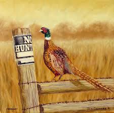 acrylic pheasant paintings - Google Search Pheasant Painting, Upland Hunting, Quail Hunting, Hunting Art, Pheasant Hunting, White Landscape, Bird Hunting, Black And White Landscape, Wildlife Paintings