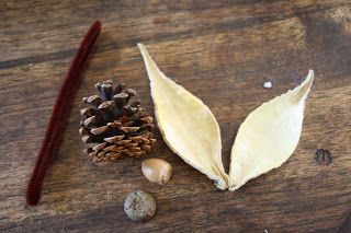 Pinecone Fairies, Milkweed Pod Crafts, Walnut Shell Crafts, Seed Craft, Milkweed Pods, Pinecone Crafts, Craft Cupboard, Fall Decor Diy Crafts, Cone Crafts