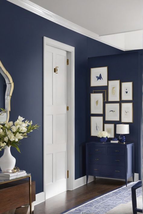 paint, Benjamin Moore, home decor, interior design Dragon Breath Benjamin Moore, Champion Cobalt Benjamin Moore, Hale Navy Coordinating Colors, Hale Navy Paint, Benjamin Moore Hale Navy, Navy Bedroom Decor, Navy Kitchen Cabinets, Benjamin Moore Bathroom, Hale Navy Benjamin Moore