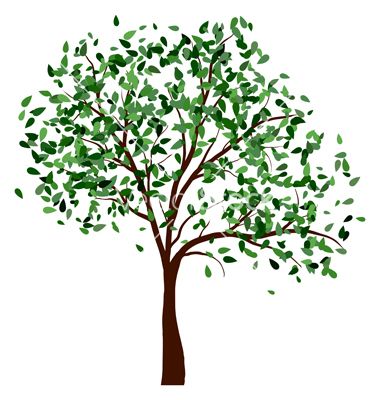 Summer tree vector 1331093 - by angelp on VectorStock®