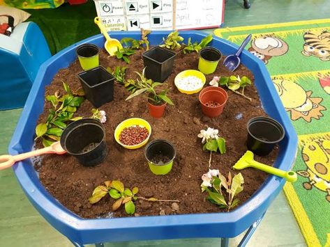 Plant Tuff Tray, Plants Nursery Ideas, Planting Tuff Tray, Growing Tuff Tray Ideas, Gardening Tuff Tray Ideas, Planting And Growing Eyfs Activities, Garden Tuff Tray Ideas, Farm Tuff Tray Ideas, Spring Tuff Tray Ideas