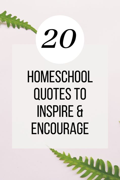 We all need a little inspiration and encouragement! Check out these homeschool quotes! #quotes #homeschoolquotes #homeschool Homeschool Inspiration Quotes, Unschooling Quotes, Homeschool Mom Quotes, Quotes To Lift Your Spirits, Encouraging Scripture Quotes, Park Date, Quotes To Encourage, Motvational Quotes, Homeschool Quotes